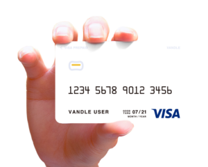 バンドルカードは3種類！バーチャル・リアル・リアル+の違いや審査をわかりやすく解説